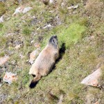 grossglockner-11