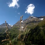 grossglockner-20