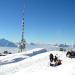 niederhorn-40