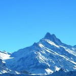 niederhorn-41
